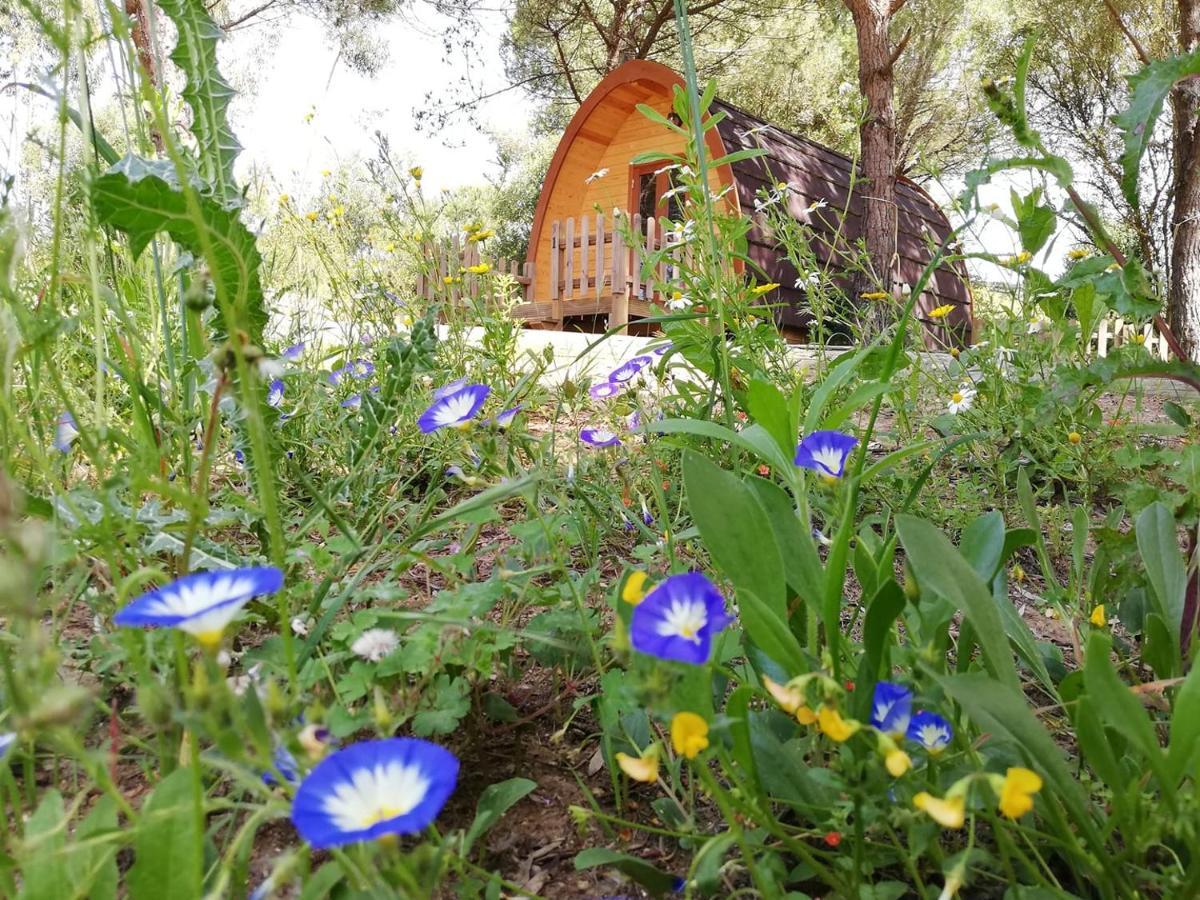 Glamping Sintra Hotel Exterior photo
