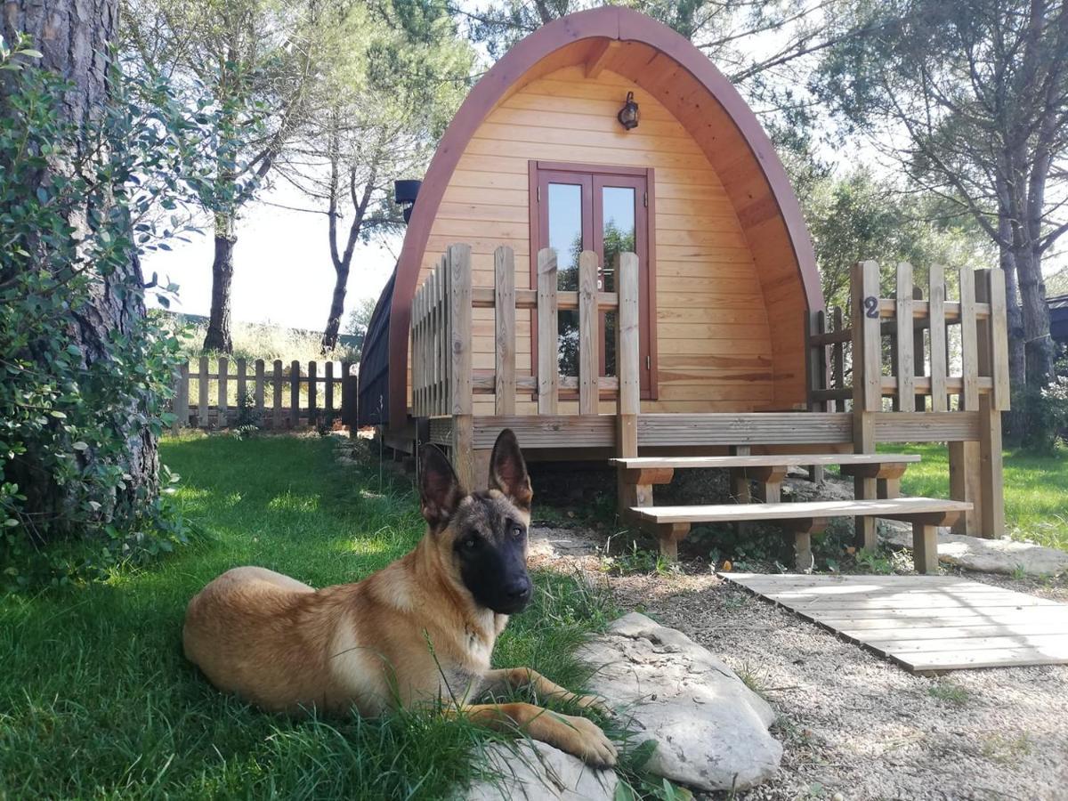 Glamping Sintra Hotel Exterior photo